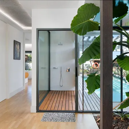Liquen Villa