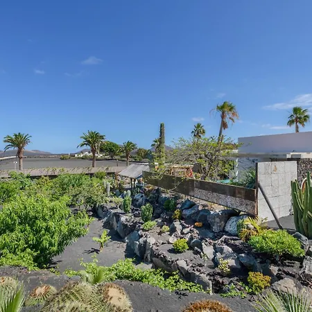 Liquen Yaiza (Lanzarote)